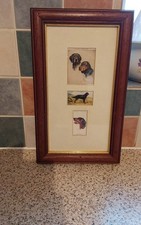 Cigarette Card's 3 Gordon