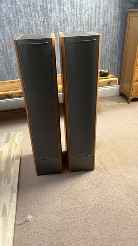Focal chora 816 - focal,