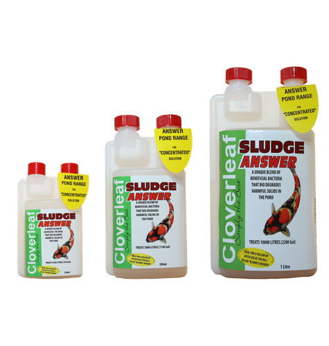 Cloverleaf sludge answer - sludge,