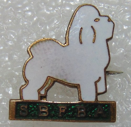 Southern bichon frise breeders - bichon,