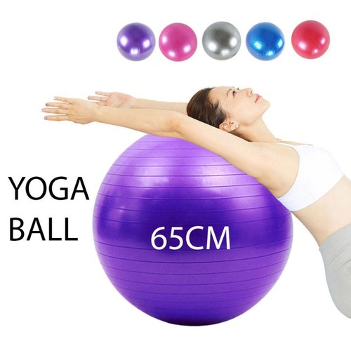 65cm fitness exercise ball - fitness,