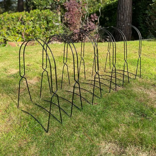 Growbag cane frame - cane, metal