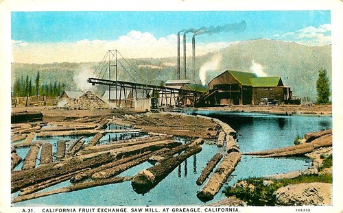 Fruit exchange saw mill - fruit,
