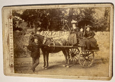 HORSE PONY AND TRAP - FAMILY