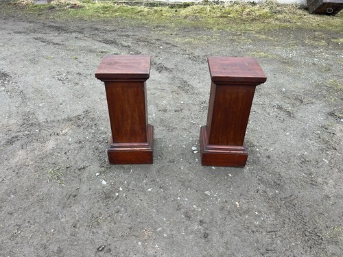 Pair victorian plant - pair, stands
