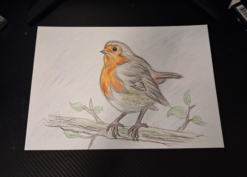 Original signed robin - original,