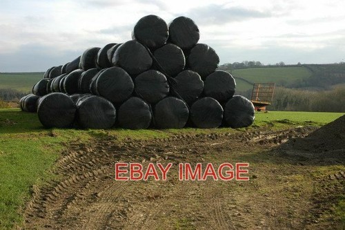 Photo silage bales - photo,