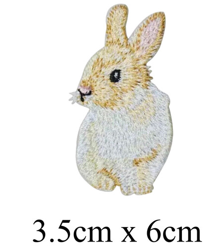 Rabbit zoo safari wildlife - ,