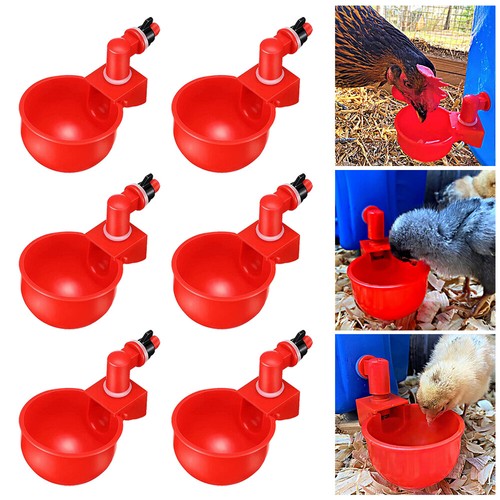 Automatic chicken water cup - 6x,