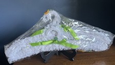 Vintage Retro Padded