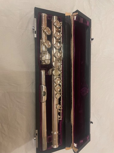 Trevor james 10xe silver flute - trevor,