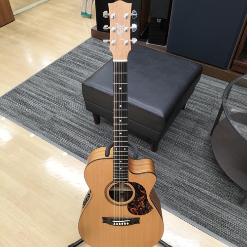 Maton srs808c acoustic - maton,