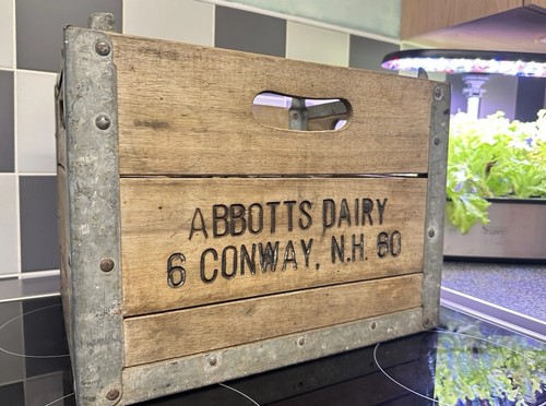 Abbotts dairy milk bottle - dairy,