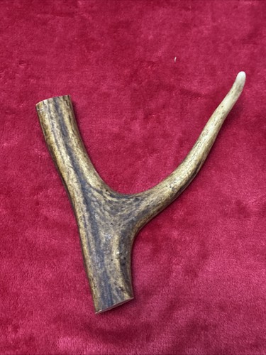 One piece deer antler y - of,