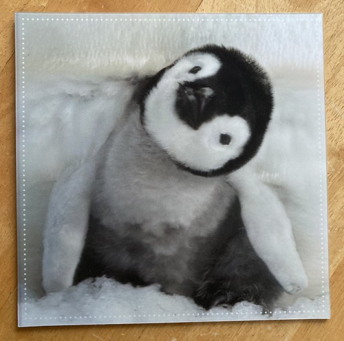 Penguin 3d holographic - 'penguin’,