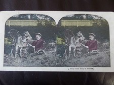 c.1895 LOVERY COLOUR