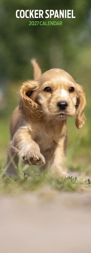 Cocker spaniel 2027 slim - cocker,