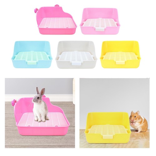 Small animal rabbit - animal, box