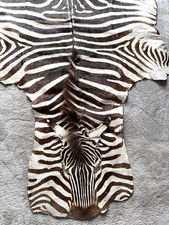 Genuine Zebra Skin hide Equus