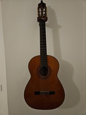 Classical Guitar Salvador