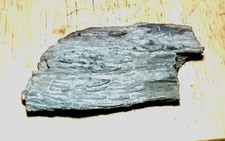 PETRIFIED FOSSILIZED WOOD
