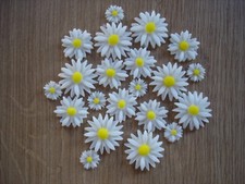 21 edible daisy's in 3 sizes