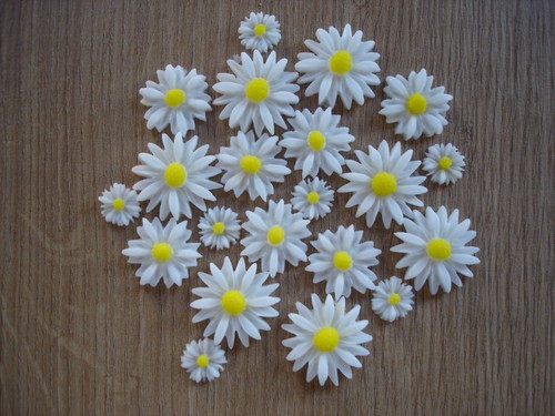 Edible daisy 3 sizes - in,