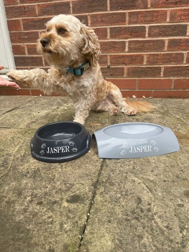 Personalised dog bowl with - personalised,