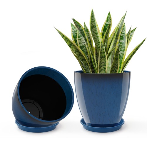 Round planter flower - flower, pot