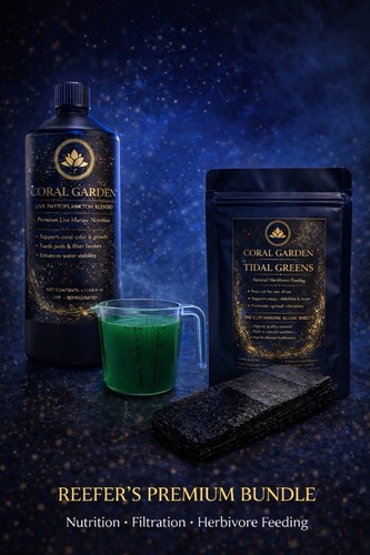 Coral garden reef feed - coral,