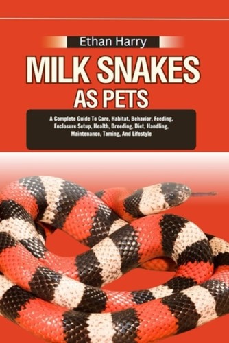 Milk snakes pets - snakes, complete