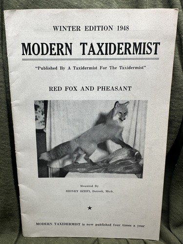 Modern taxidermist winter - modern,