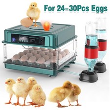 24/36x Eggs Fully Automatic