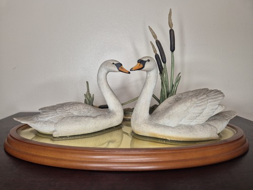 Border fine arts reflections - border,