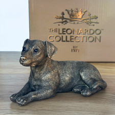 Jack Russell Terrier Dog