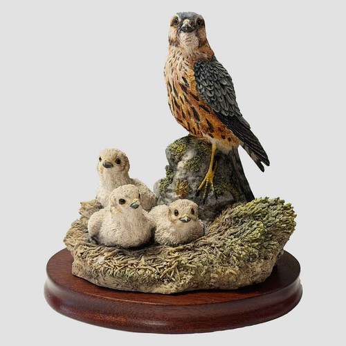 Merlin and chicks - border, fine