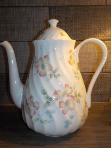 Wedgewood cottage rose - wedgewood,