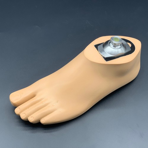 Waterproof dynamic prosthetic - ,
