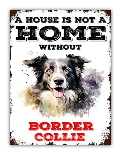 Border collie aluminium - border, metal
