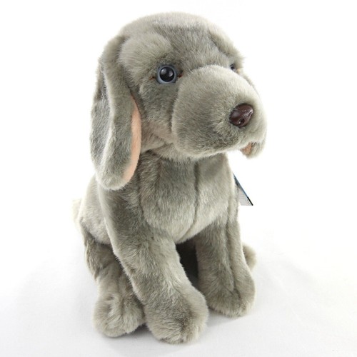 Faithful friends weimaraner - friends,