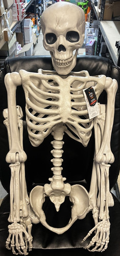 Posable skeleton halloween - posable,