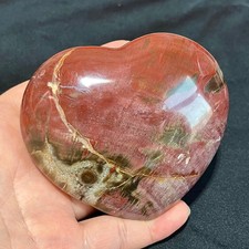 Petrified Wood Heart - Polished Fossil Carving - 15.66OZ