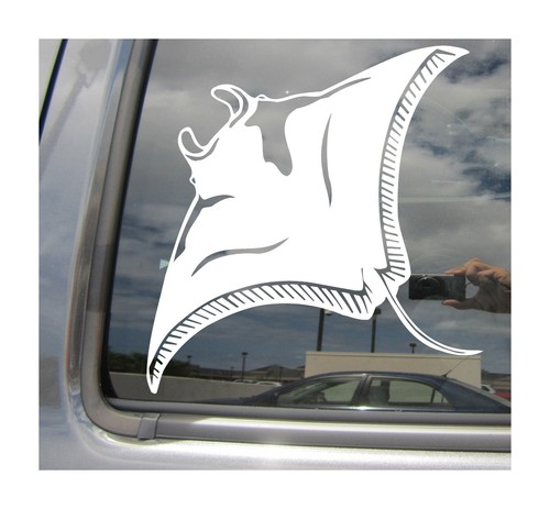 Manta ray deivilfish car - deivilfish,
