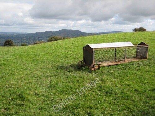 Photo 6x4 sheep rack the - photo, on
