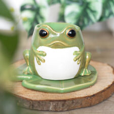 Frog Shaped Ceramic  Oil Burner on Lily Pad - Brand New & Boxed