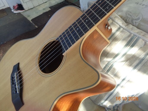 Wide neck electro acoustic - electro,