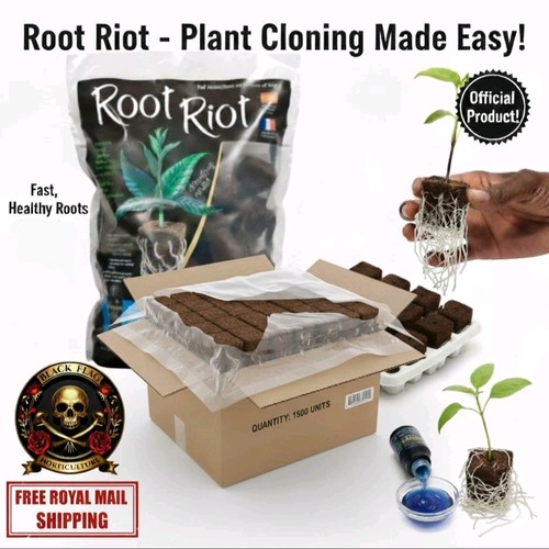 Root riot propagation - riot, cubes