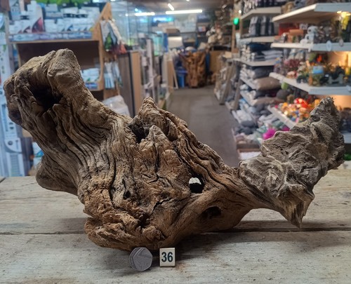 Derwen oak bogwood 54cm - oak, 25-54cm