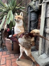 Anthropomorphic Taxidermy Fox