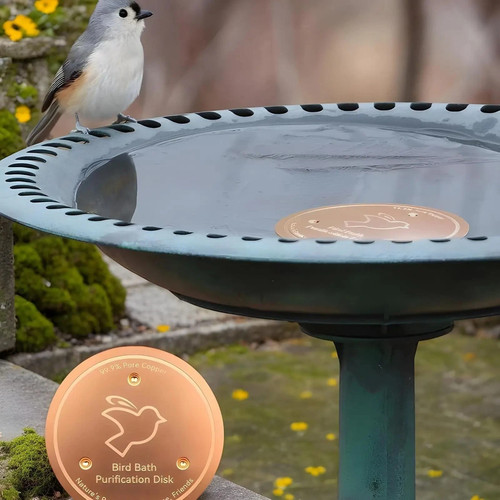 Bird bath copper disk pure - bird,